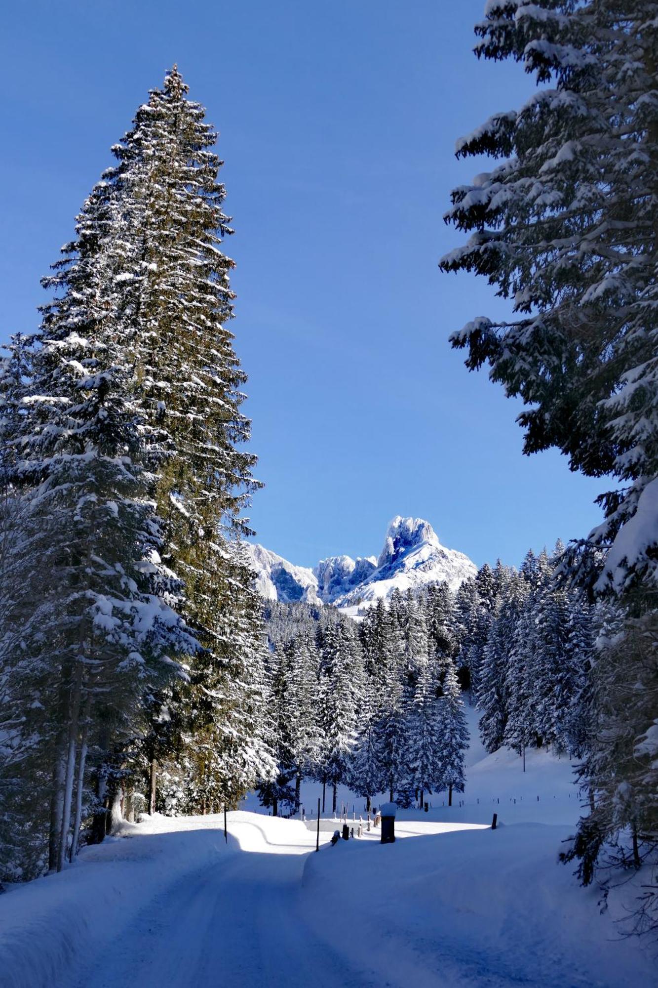 Huette Neuhaus Βίλα Annaberg im Lammertal Εξωτερικό φωτογραφία