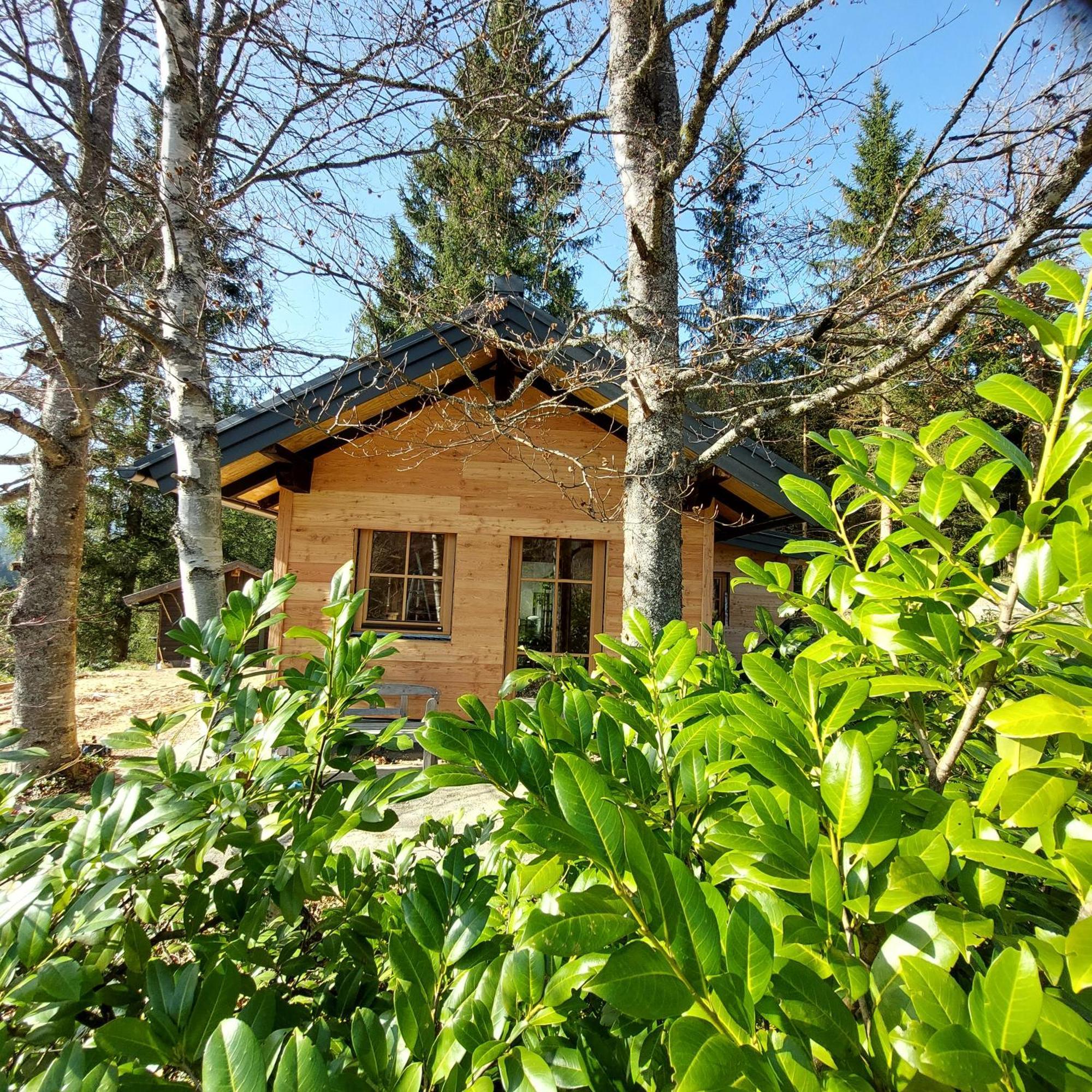 Huette Neuhaus Βίλα Annaberg im Lammertal Εξωτερικό φωτογραφία