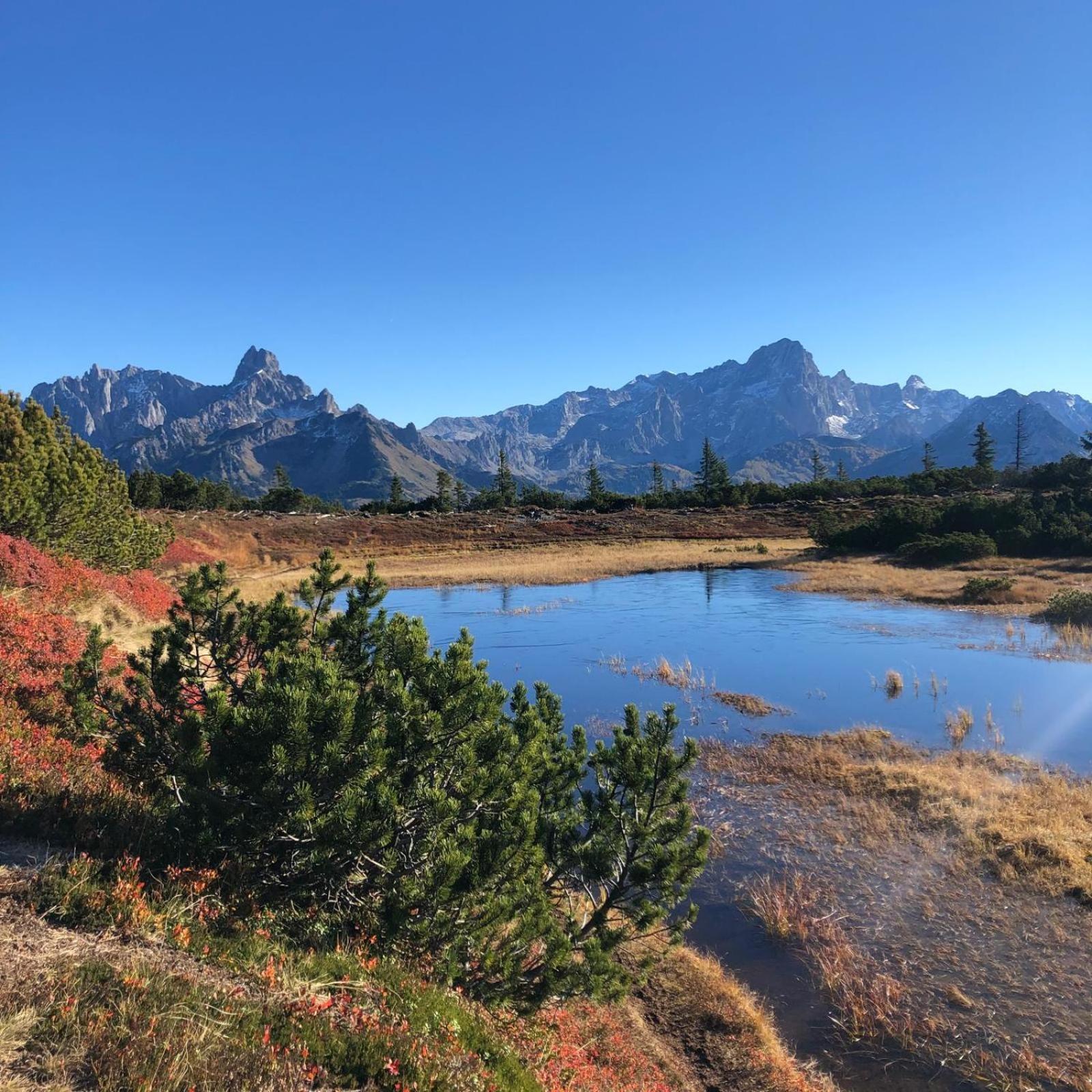 Huette Neuhaus Βίλα Annaberg im Lammertal Εξωτερικό φωτογραφία