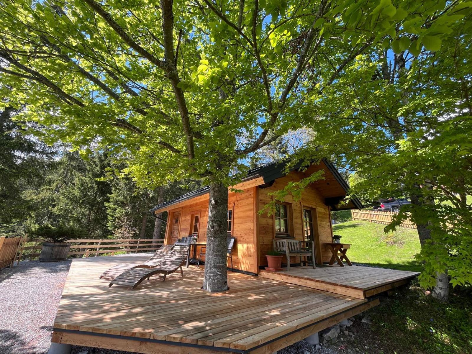 Huette Neuhaus Βίλα Annaberg im Lammertal Εξωτερικό φωτογραφία